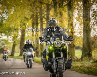 Herfstrit Moerzeke photo