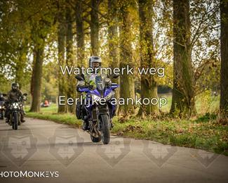 Herfstrit Moerzeke photo