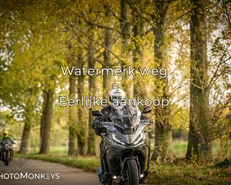 Herfstrit Moerzeke photo