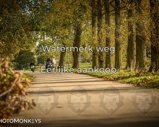 Herfstrit Moerzeke photo