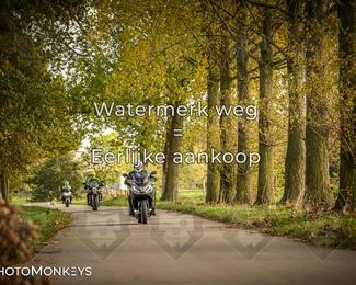 Herfstrit Moerzeke photo