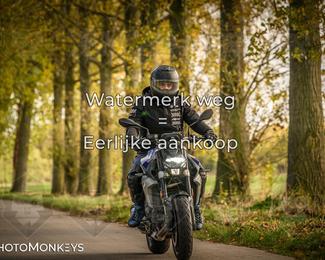 Herfstrit Moerzeke photo