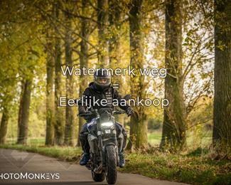 Herfstrit Moerzeke photo