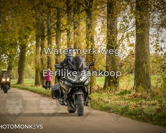 Herfstrit Moerzeke photo