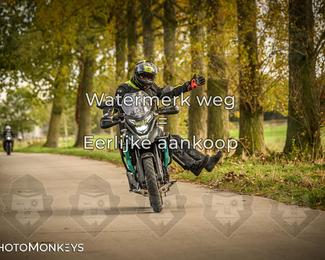 Herfstrit Moerzeke photo