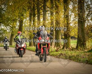 Herfstrit Moerzeke photo