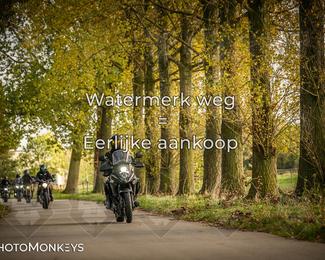 Herfstrit Moerzeke photo