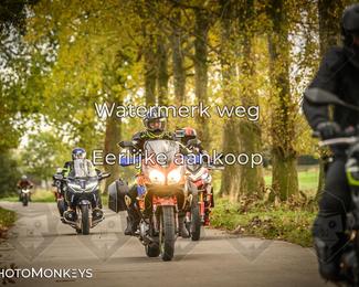 Herfstrit Moerzeke photo