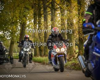 Herfstrit Moerzeke photo