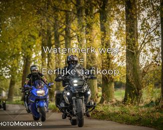 Herfstrit Moerzeke photo