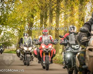 Herfstrit Moerzeke photo