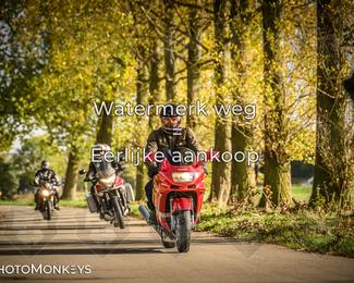 Herfstrit Moerzeke photo