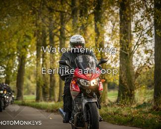 Herfstrit Moerzeke photo