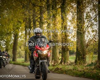 Herfstrit Moerzeke photo