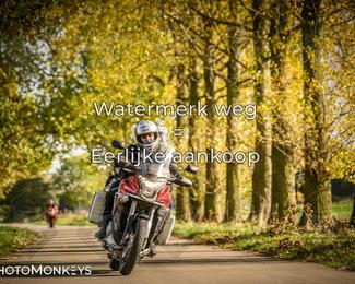 Herfstrit Moerzeke photo