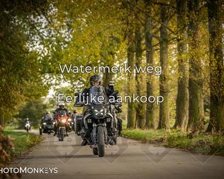 Herfstrit Moerzeke photo