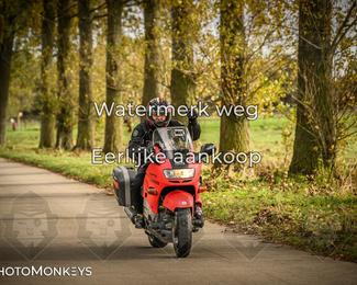 Herfstrit Moerzeke photo