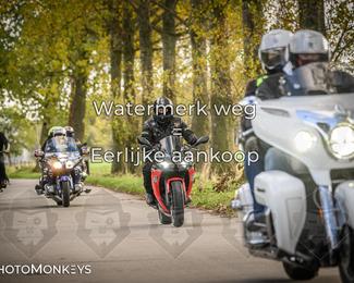 Herfstrit Moerzeke photo