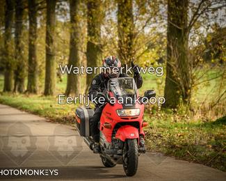 Herfstrit Moerzeke photo