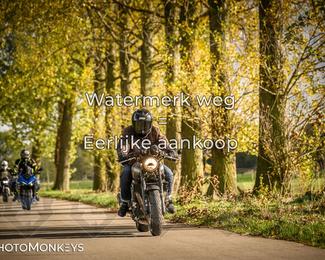 Herfstrit Moerzeke photo