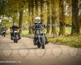 Herfstrit Moerzeke photo