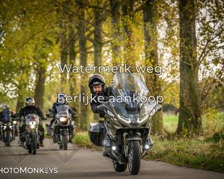 Herfstrit Moerzeke photo