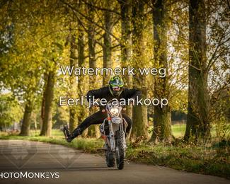 Herfstrit Moerzeke photo