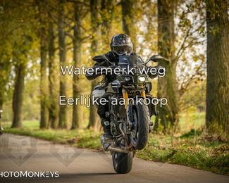 Herfstrit Moerzeke photo