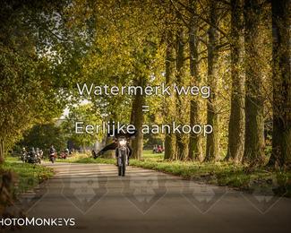 Herfstrit Moerzeke photo