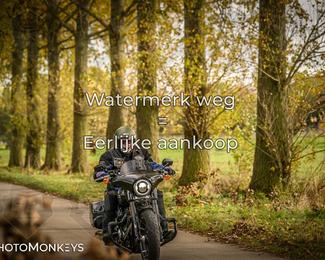 Herfstrit Moerzeke photo