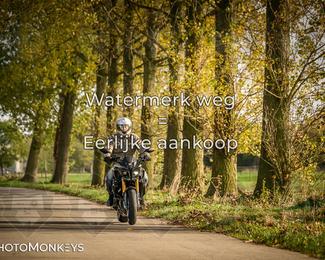 Herfstrit Moerzeke photo