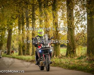 Herfstrit Moerzeke photo