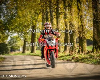 Herfstrit Moerzeke photo