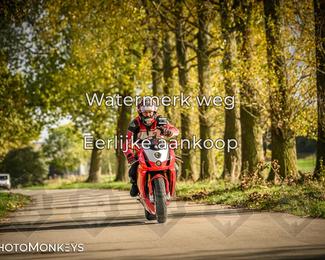 Herfstrit Moerzeke photo