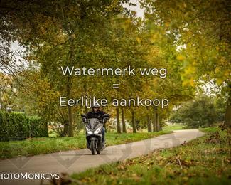 Herfstrit Moerzeke photo