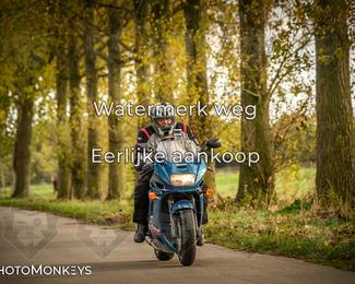 Herfstrit Moerzeke photo