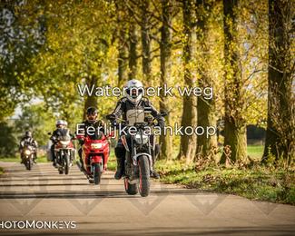 Herfstrit Moerzeke photo