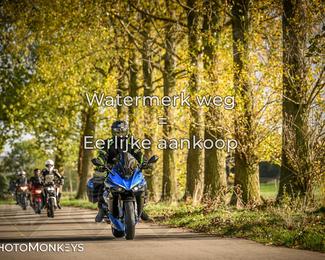 Herfstrit Moerzeke photo