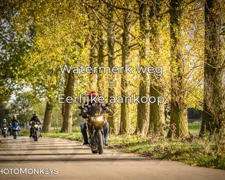 Herfstrit Moerzeke photo