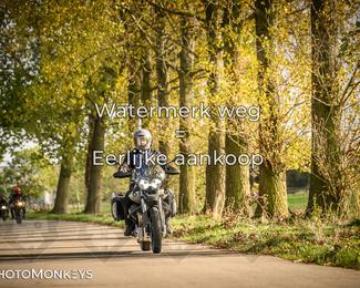 Herfstrit Moerzeke photo