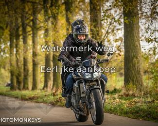 Herfstrit Moerzeke photo