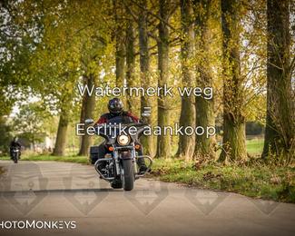 Herfstrit Moerzeke photo