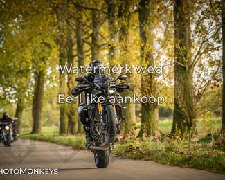 Herfstrit Moerzeke photo