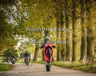 Herfstrit Moerzeke photo