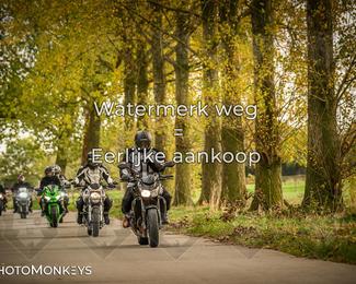 Herfstrit Moerzeke photo