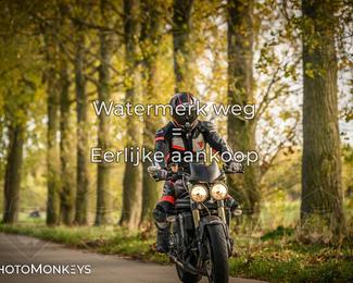 Herfstrit Moerzeke photo