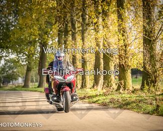 Herfstrit Moerzeke photo