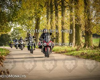 Herfstrit Moerzeke photo