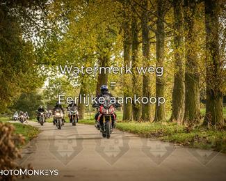 Herfstrit Moerzeke photo