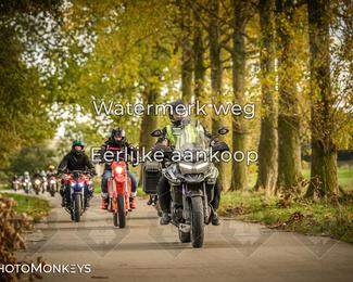 Herfstrit Moerzeke photo